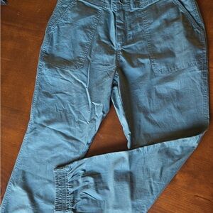 Pact Organic Cotton Pants in Green/blue